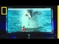 SharkFest 2015 National Geographic SharkFest 2015 National Geographic