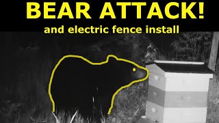 A Bear Attacked Our Bees And We Put Up An Electric Fence