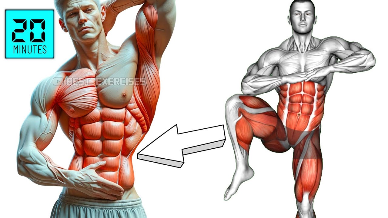 20 минут в день упражнений для пресса стоя, которые преобразят ваш живот (щадящие для коленей)