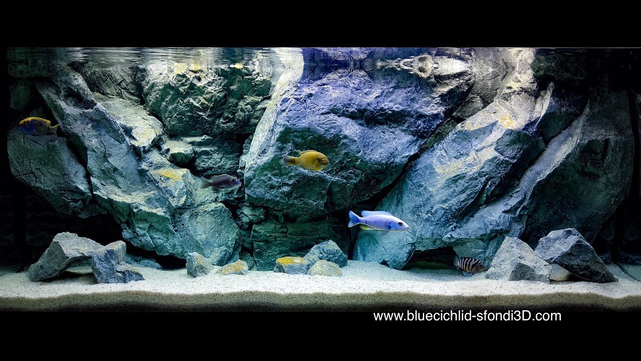Sfondo 3D acquario Background Ciclidi Malawi Cichlids Rueckwand