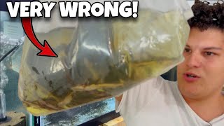 This Monster Fish Import Went VERY Wrong…