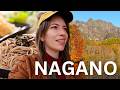 Guide de voyage nagano   10 choses  faire dans la ville de nagano au japon