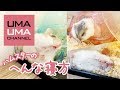 ハムスターのおもしろ寝相集【うまる＆こまる#43】