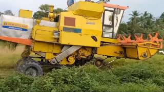 Mesin Penuai padi "Combine Harvester Menakjubkan Dalam Proses dan Menuai Hasil Pertanian