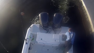 Optimus 360 Joystick Control