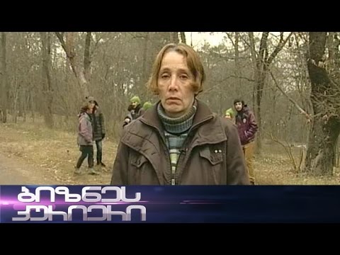 სად არის მილიონი ხე? ინვესტორი vs ხალხი