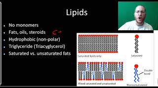 AP Bio: Macromolecules  Part 1