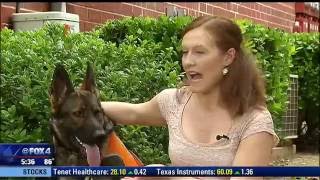 Woman, service dog turned away at McKinney Albertson's