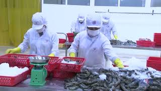 Vietnam’s economy to stay resilient amidst headwinds