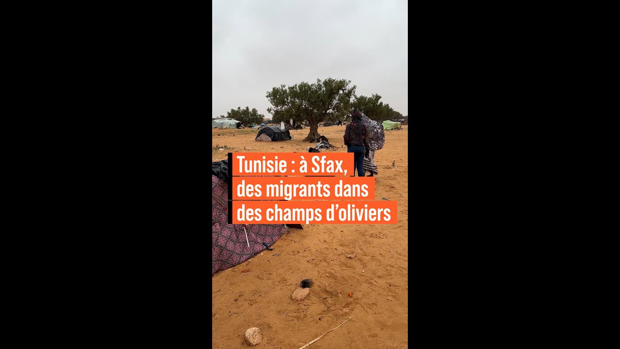 Tunisie : à Sfax, des migrants subsahariens survivent dans des champs