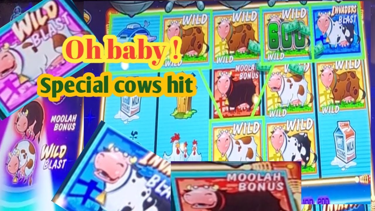 Attack from planet moolah when so many special cows hit youtube