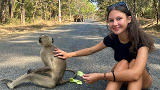 Дружба с дикой обезьяной/впечатления от природы в Индии 2023/ГОА/#17