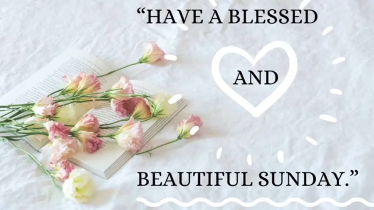 Sunday Wishes/Quotes Short video whatsapp