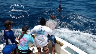 Striped Marlin Capital Of The World - Cabo San Lucas 2017