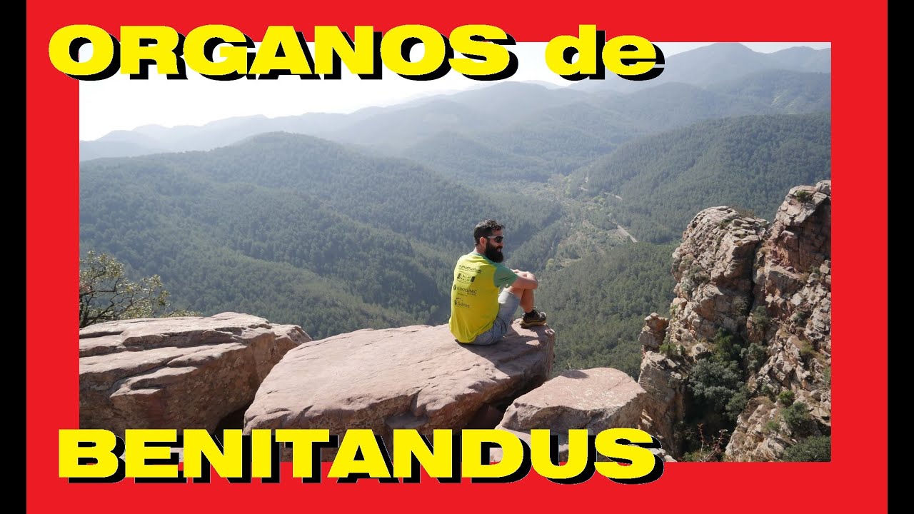 ORGANOS DE BENITANDUS DESDE SUERAS