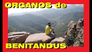 Organos De Benitandus Desde Sueras