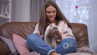 The Ultimate Guide to American Ragdoll