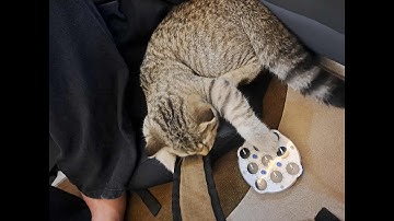 PB 2.04 single!!!!!!(former)