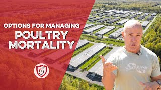 Options for Managing Poultry Mortality on Your Farm