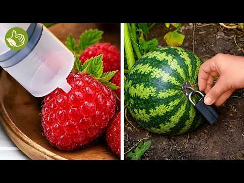 Want Fresh Food? Start Growing It Yourself! 🥕