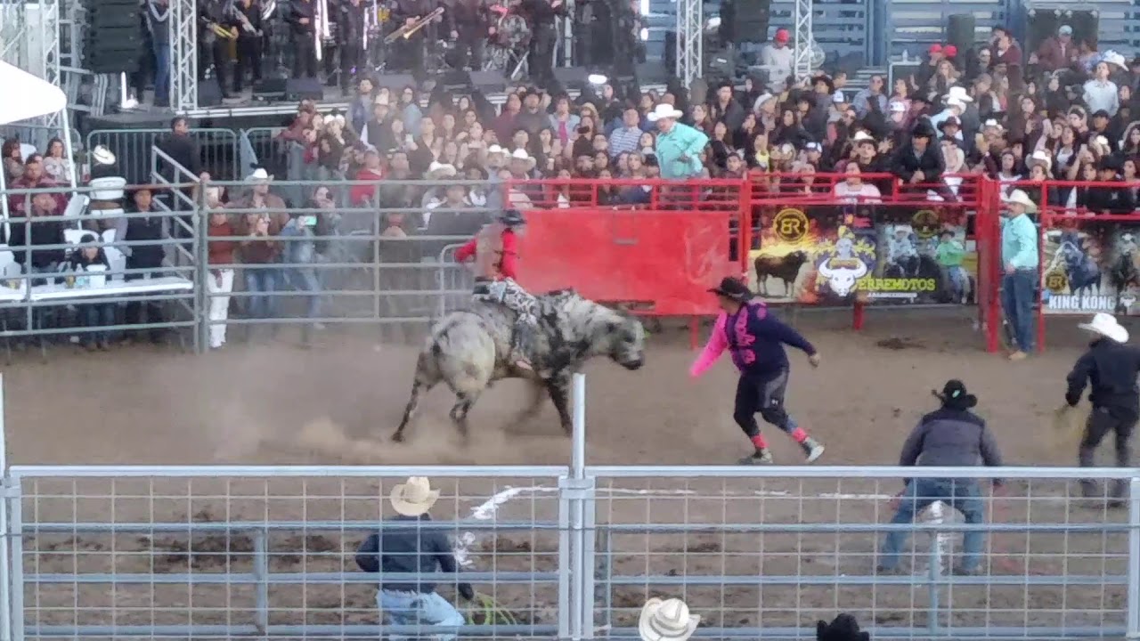 JARIPEO EN GRIDLEY CALIFORNIA 02/09/2020(5) YouTube