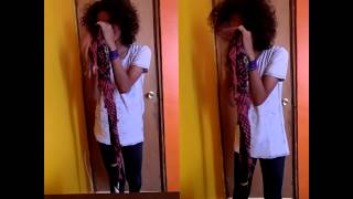 Project Zeta - Variation (DanceGavinDance Vocal Cover)