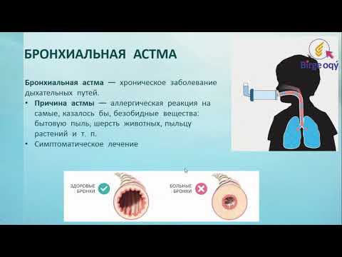 Урок биологии. Тема: Заболевания органов дыхания. Причины и профилактика заболеваний органов дыхания