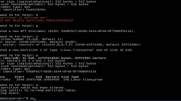 Ubuntu Media Server 18.04 LTS | Adding Storage & making it persistent during boot