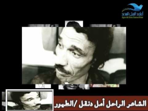 الشاعر الراحل أمل دنقل الطيور