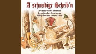Bergler-Polka