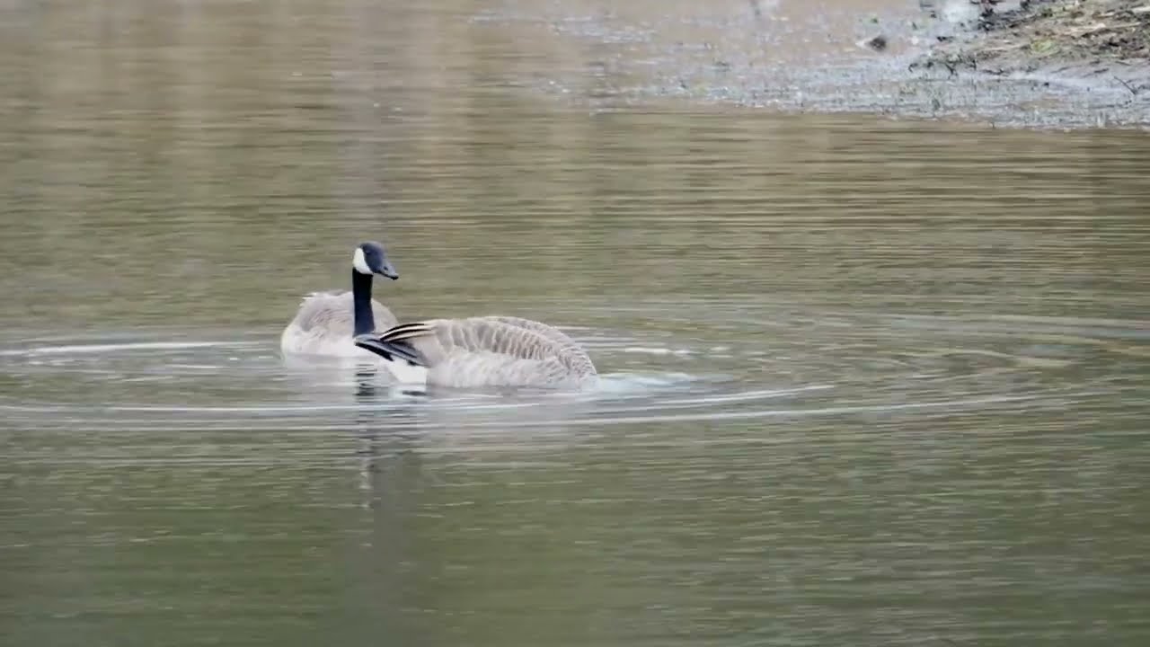 LADYWALK NATURE RESERVE