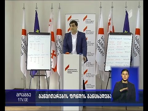 \"საქართველოს განვითარების ფონდი\" პრემიერის ინიციატივას ეწინააღმდეგება