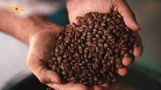Coffee Roastery Factory Commercial Video
