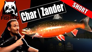 Russian Fishing 4 - Ladog Lake - Char, Zander, Saibling und Co  Texas Rig, SHORT screenshot 4