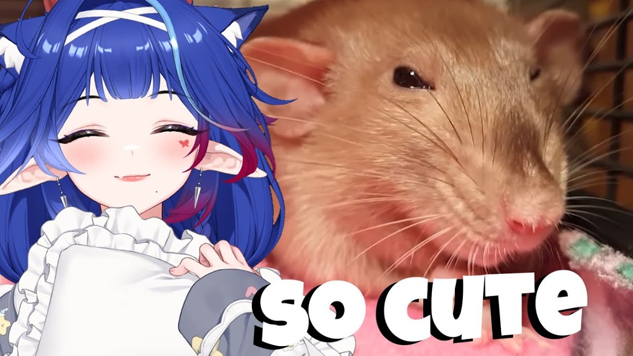 It's Time For More Daily Dose of Mommy