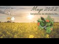 Mayo 2022 - Serpiente de Madera Yin