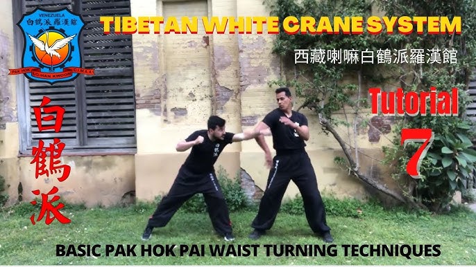 SIFU TUTORIAL 6 | PAK HOK | LAMA KUNG FU TIBETAN WHITE CRANE | WHITE CRANE | LION ROAR - YouTube