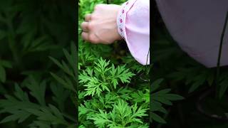 मगवर्ट पत्तियों से बना हेल्दी मीठा नाश्ता | Healthy Sweet Snack Recipe | Unique Village Food#viral