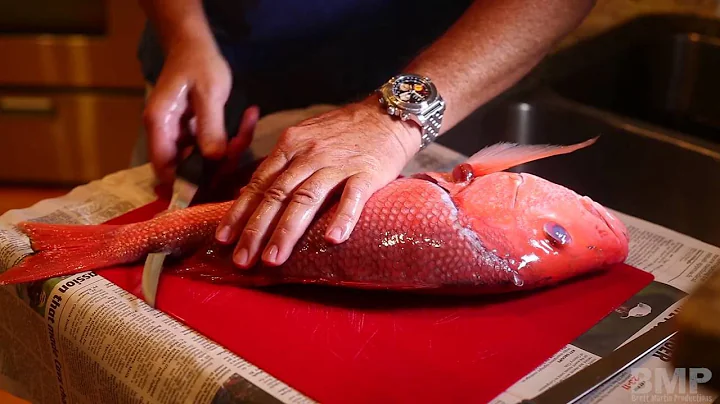 How to Fillet a Red Snapper Fish  ©Brett Martin Productions