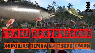 Точка на ГОЛЬЦА АРКТИЧЕСКОГО! Крутая точка на озере Куори! - Русская Рыбалка 4.