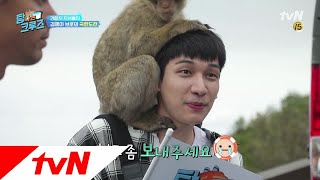 [선공개] 지브롤타 원숭이를 만난 동민과 혁! 탐나는 크루즈 3화