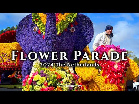 Flower Parade 🌷 Keukenhof 2024 🇳🇱