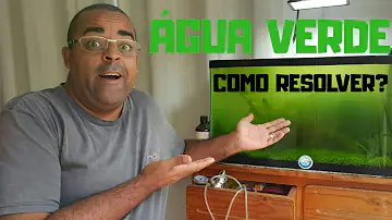 O que faz a água do aquário fica verde?