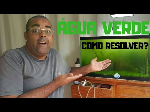 Vídeo: O Que Fazer Se A água Do Aquário Ficar Verde