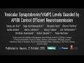 Va vesicular synaptobrevinvamp2 levels guarded by ap180 control efficient neurotransmission