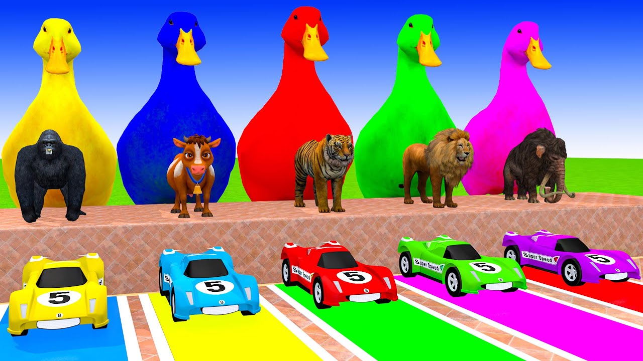 Long Slide Game With Cow Elephant Gorilla Hippopotamus Tiger 3d Animal Game Funny 3d Animals