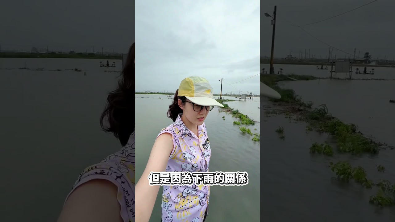高雄茄萣魚塭 損失慘重 #魚塭 #淹水 #高雄 #茄萣 縮圖