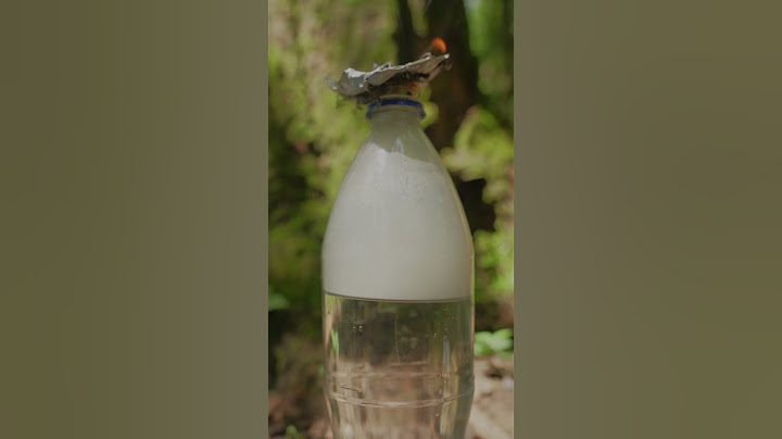 Amazing Lifehack: Smoked Olive Oil in the Wild. #survival #skills #lifehacks