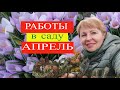 КАЛЕНДАРЬ садовода. Работы в саду в апреле. Что посеять?