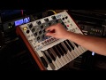 Timbre Wolf and Tom Cat: Analog at Work